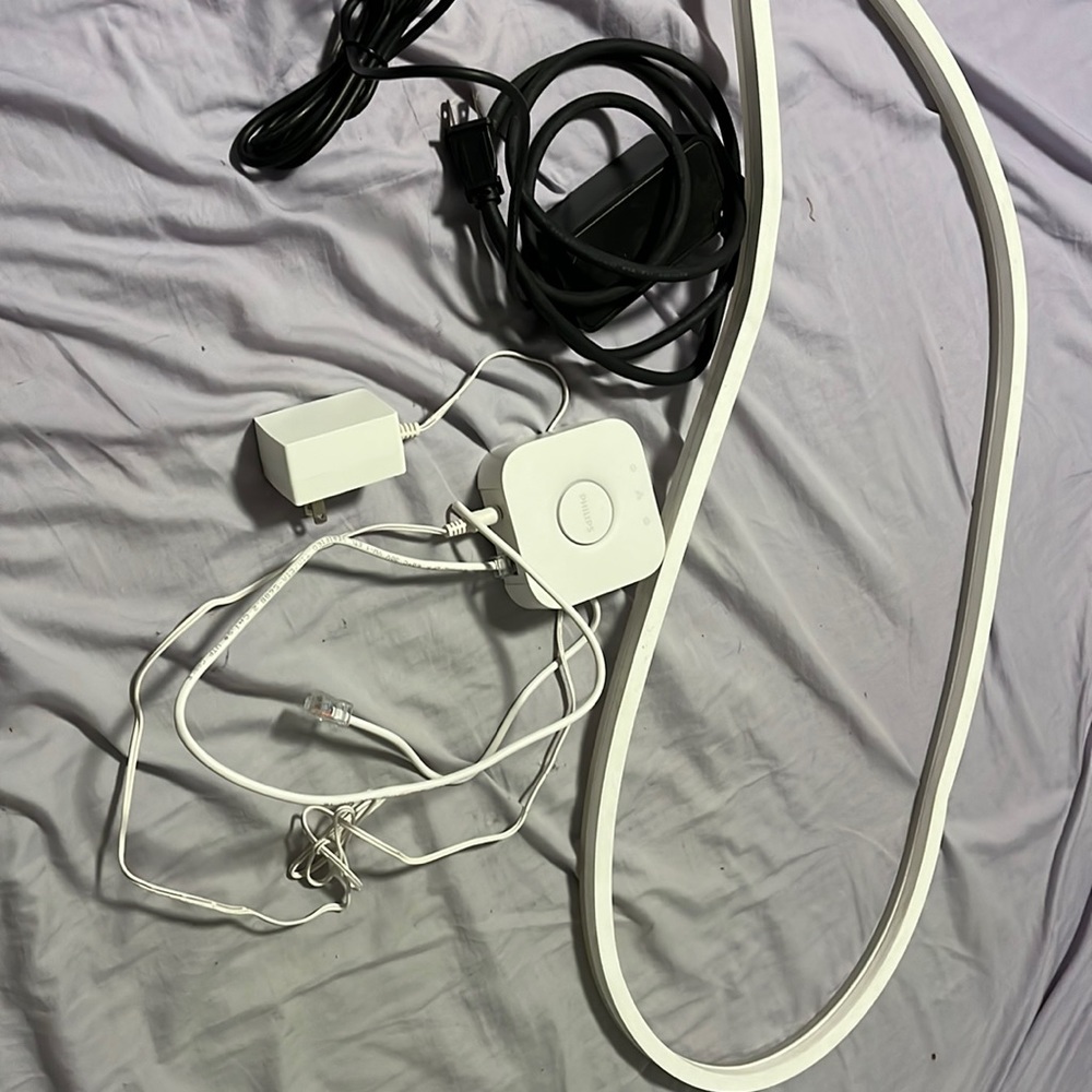 Philips hue light strip outdoor and hue bridge